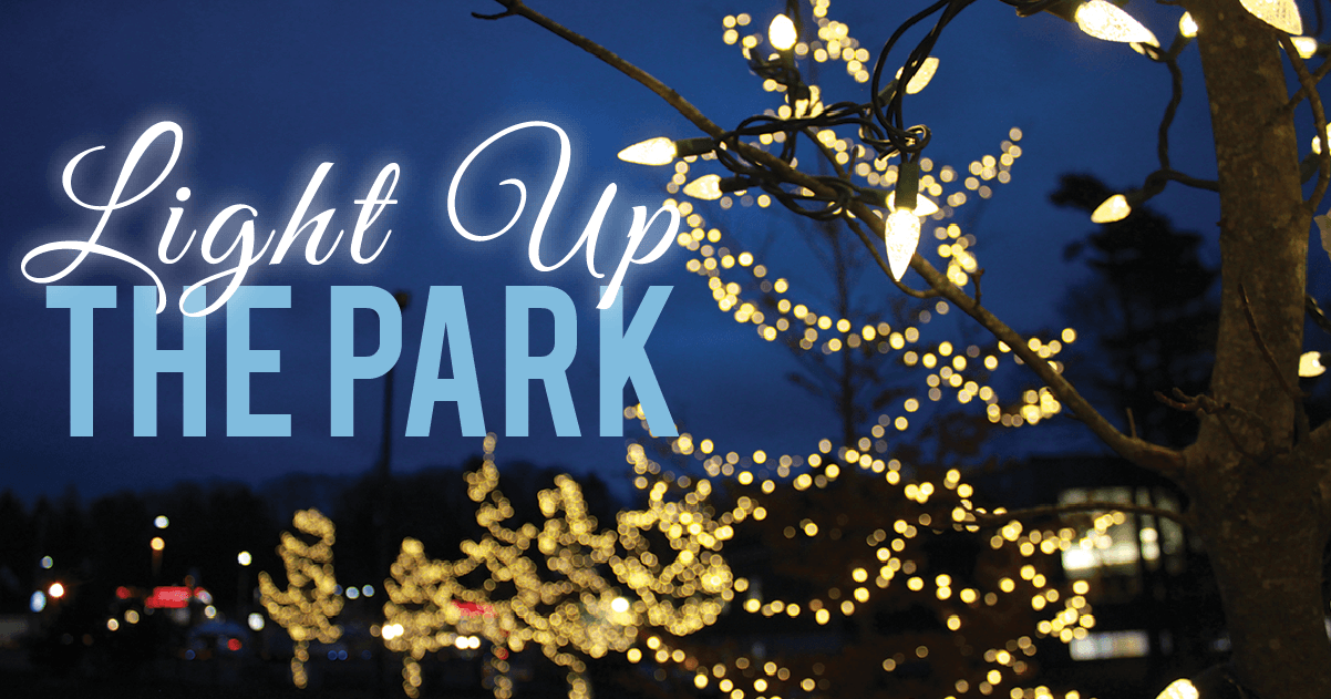 Facebook Picture Light Up The Park