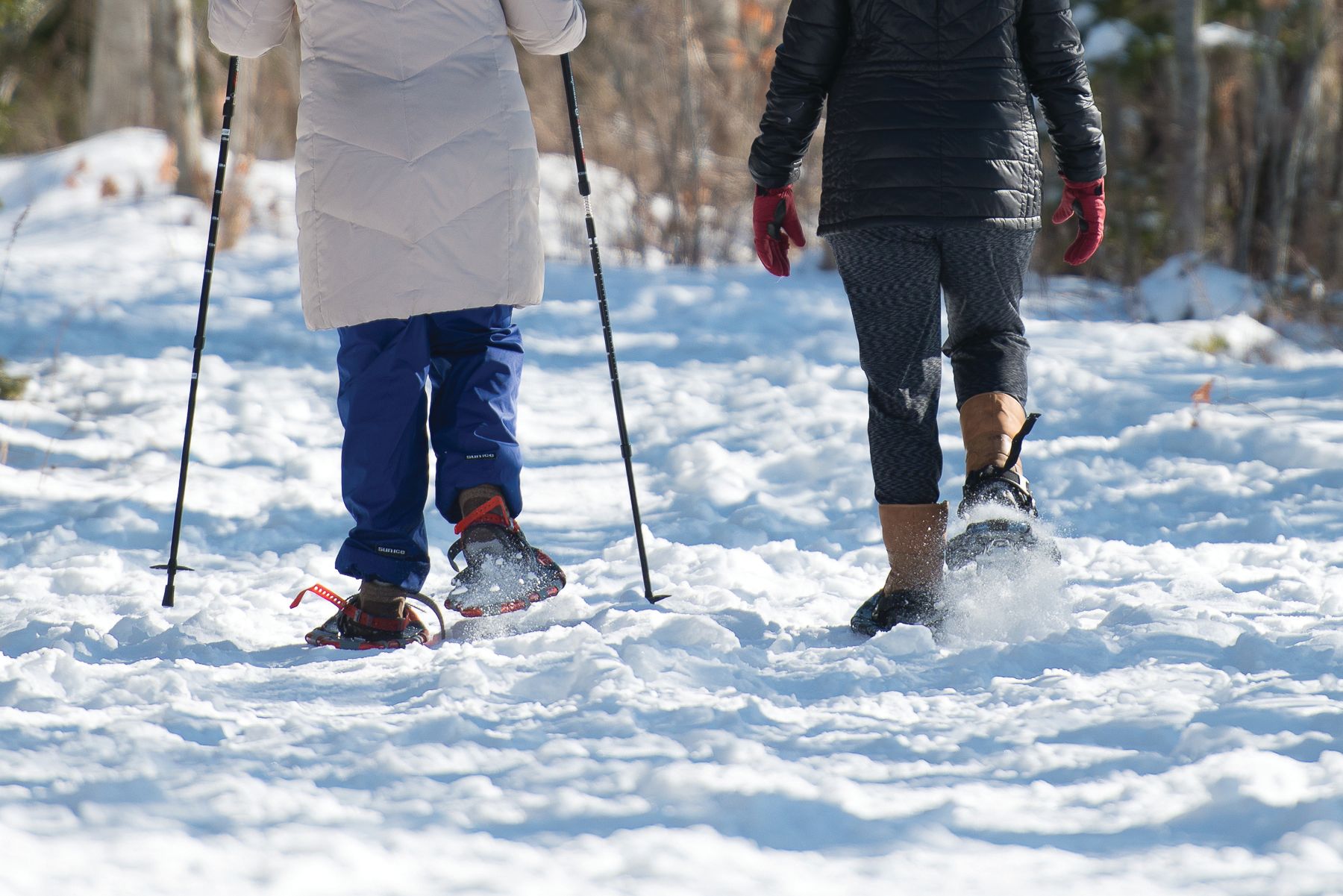 Snowshoeing