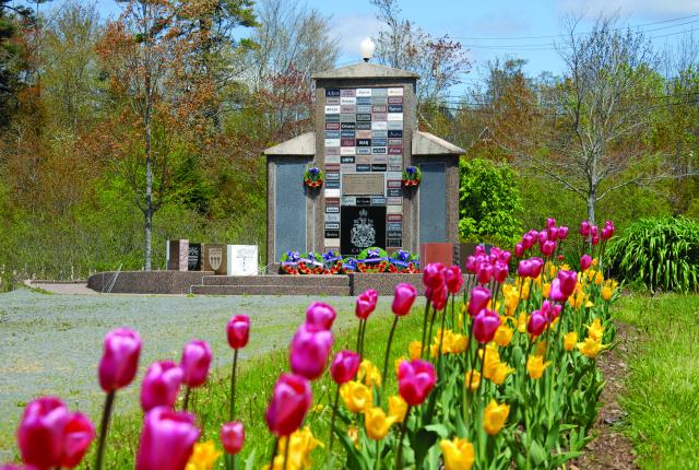 Tulips blooming in front of the Sackville Cenotaph