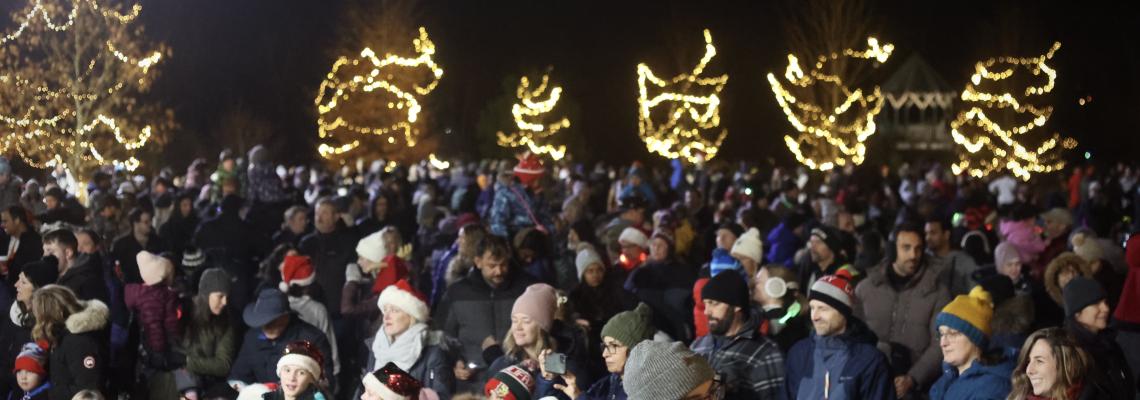 Christmas Tree Lighting