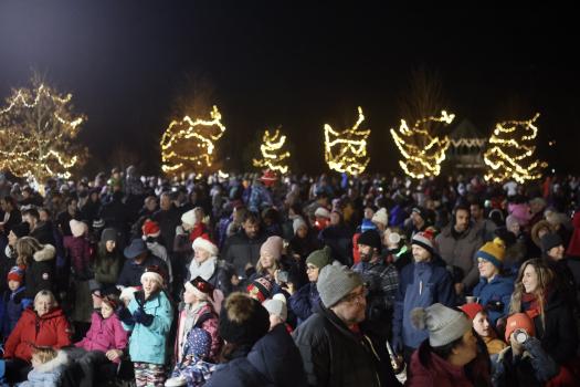 Christmas Tree Lighting