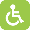 disability icon